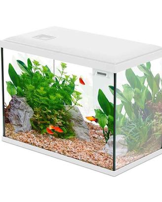 Acquario 24 litri