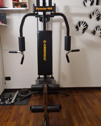 Palestra Carnielli professionale