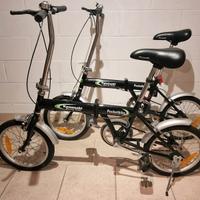Bici pieghevoli Kawasaki