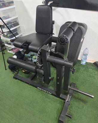 Leg extension/ curl Kingsgym