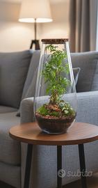 terrarium by Sterrarium 🦋 