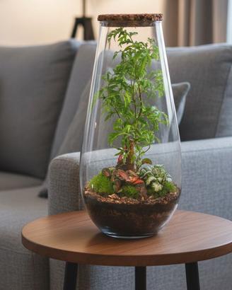 terrarium by Sterrarium 🦋 