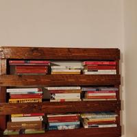 libreria pellet 