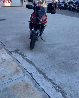 Tiger sport 660 Triumph