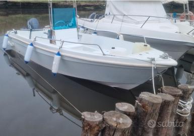 Barca a motore 40 cv 