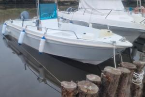 Barca a motore 40 cv 