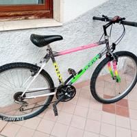 Trenino biciclette