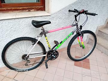 Trenino biciclette
