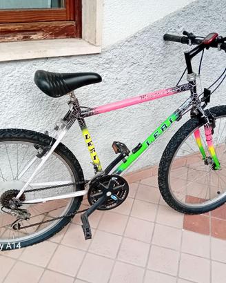 Trenino biciclette