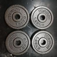 Dischi Ghisa per palestra