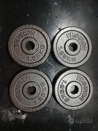 Dischi Ghisa per palestra