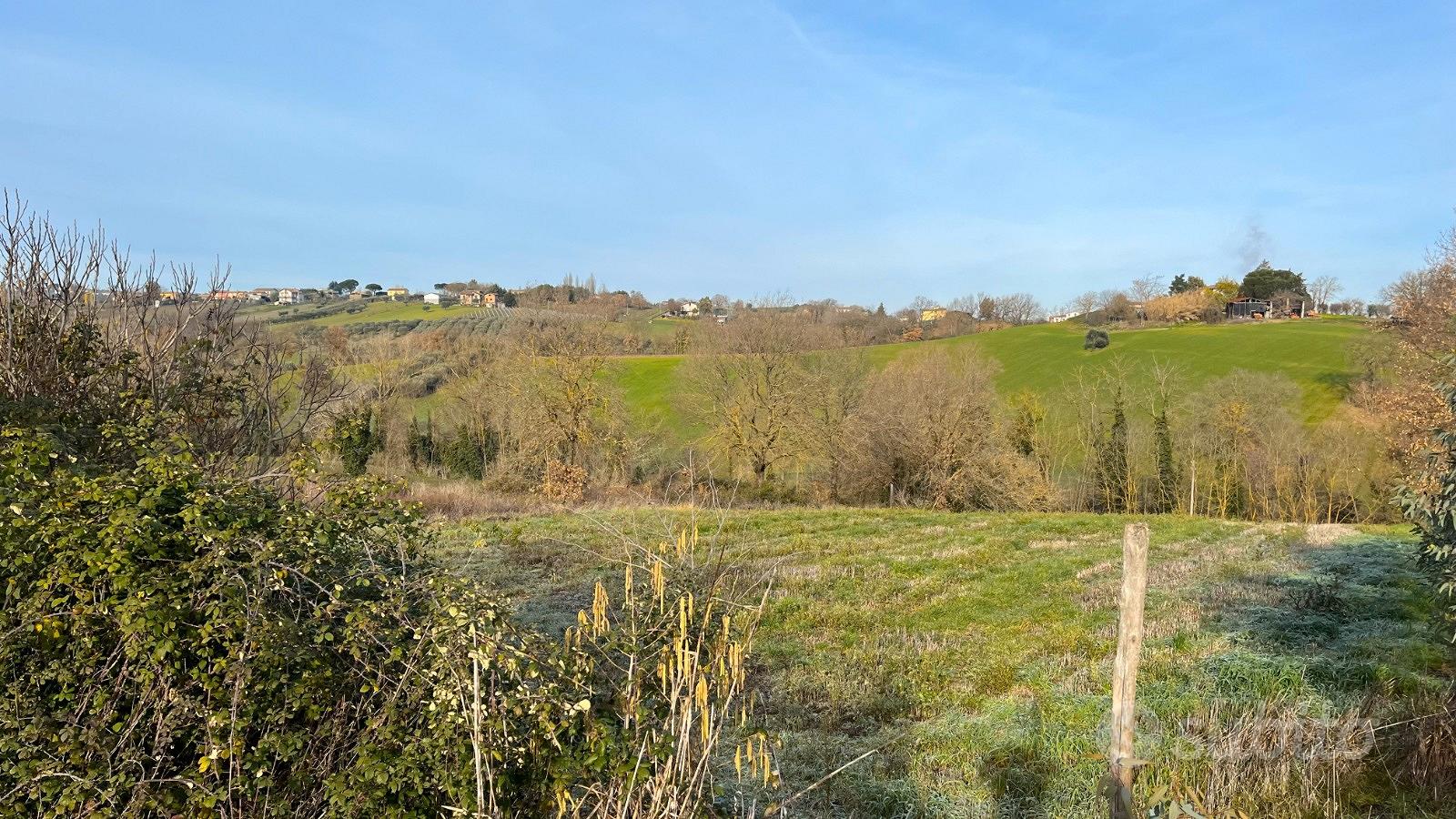 Terreno agricolo - Altro