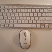 Tastiera wireless Bluetooth

Trust