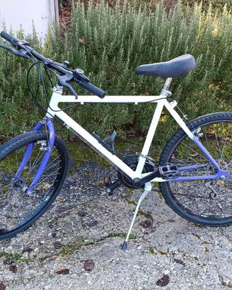 bicicletta mountainbike 24