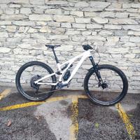 specialized stumpjumper M