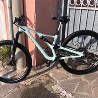Bici mtb Specialized