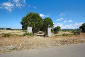 Terreno edificabile