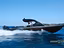 Immagine 10