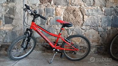 bicicletta 