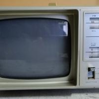 TELEVISORE-RADIO ORION Ditron 2000