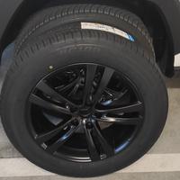 Ruota per Toyota Rav 4