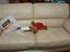 Immagine 1