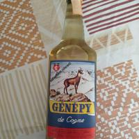 genepy di cogne