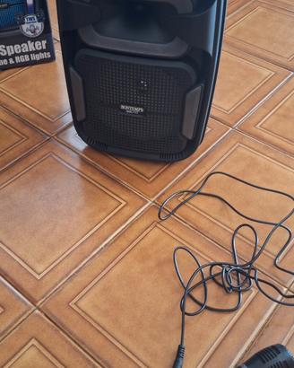 cassa con microfono bontempi