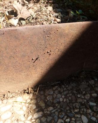Bordure in metallo per giardino