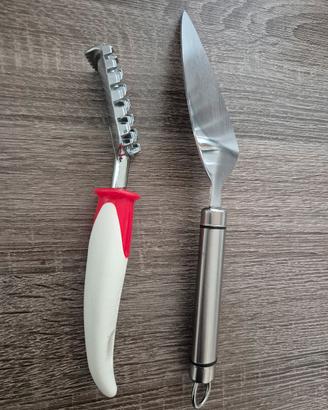 squamapesce e paletta torte