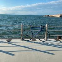 Bici tommasini tecno 55cm