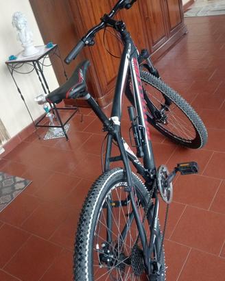 bicicletta