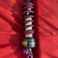 Raiger