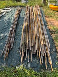 Canne bambu per orto