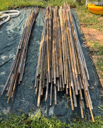 Canne bambu per orto