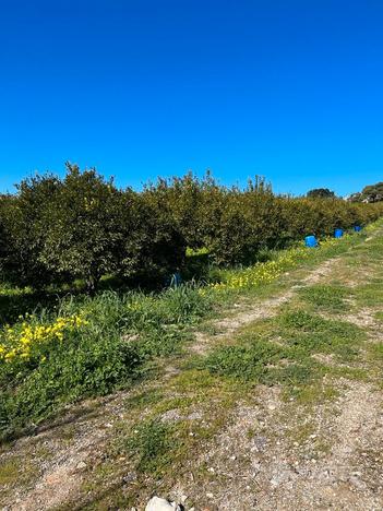 V/1052 Terreno a pochi passi dal centro abitato