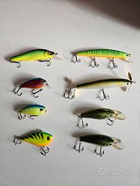 Lotto 8 rsche rigide bassfishing 