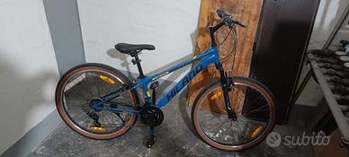 Bicicletta mountain bike