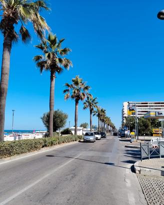 234 Attico Montesilvano nuova costruzione