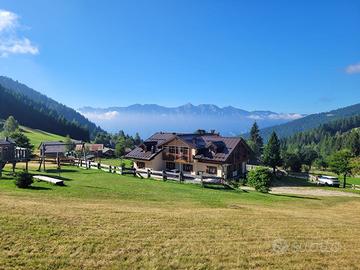 Vacanze in montagna nel Lagorai in Trentino