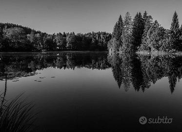 Casa Singola a Aldeno