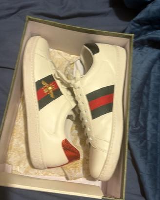 Scarpe gucci
