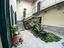 Immagine 29