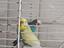 Immagine 2
