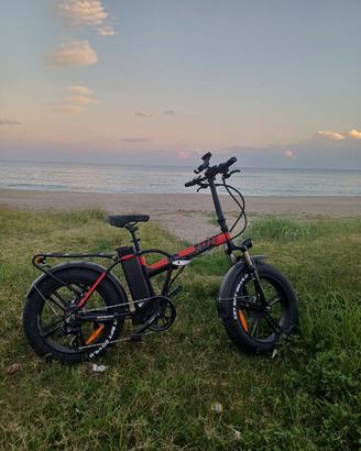 bicicletta elettrica