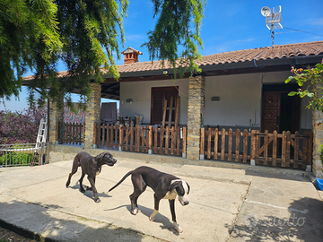 Villa singola