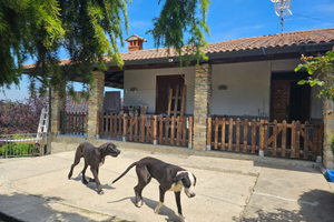 Villa singola