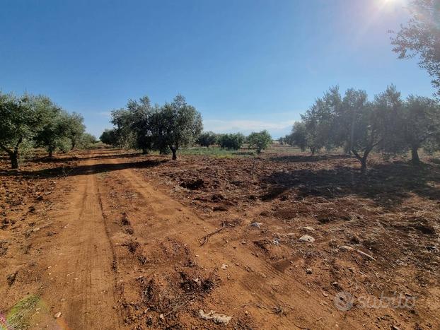 Terreno Agricolo - Massafra