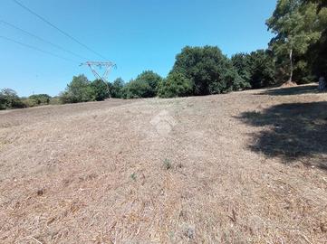 TER. AGRICOLO A POMEZIA