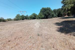 TER. AGRICOLO A POMEZIA